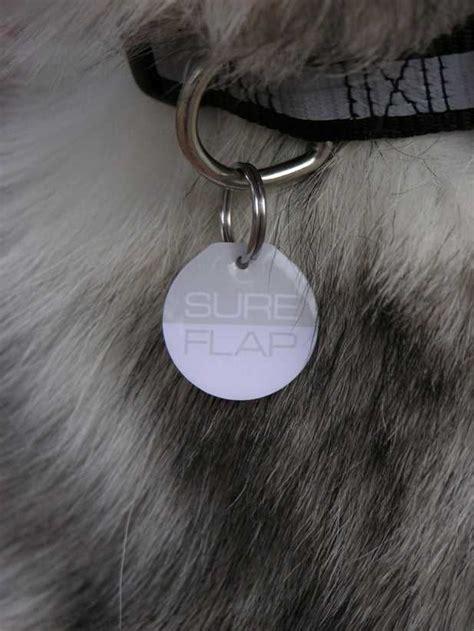 size of sureflap rfid collar tag|sureflap cat flap with microchip.